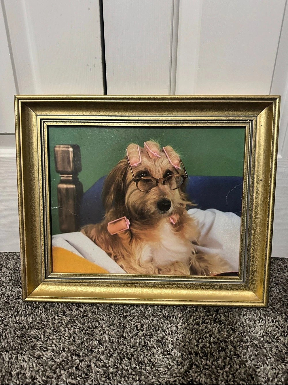 🐶 Framed Dog Portrait Wall Art